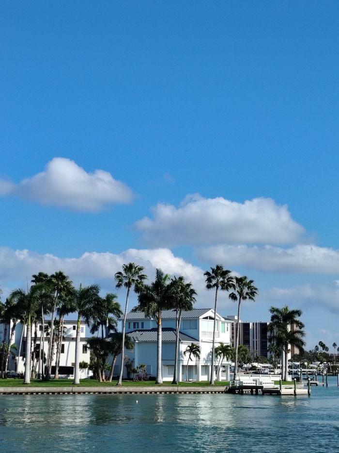 Scenic view of tropical waterfront homes with palm trees and blue skies.